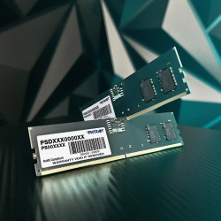 Pamięć Signature DDR5 16GB/4800(1*16GB) CL40 