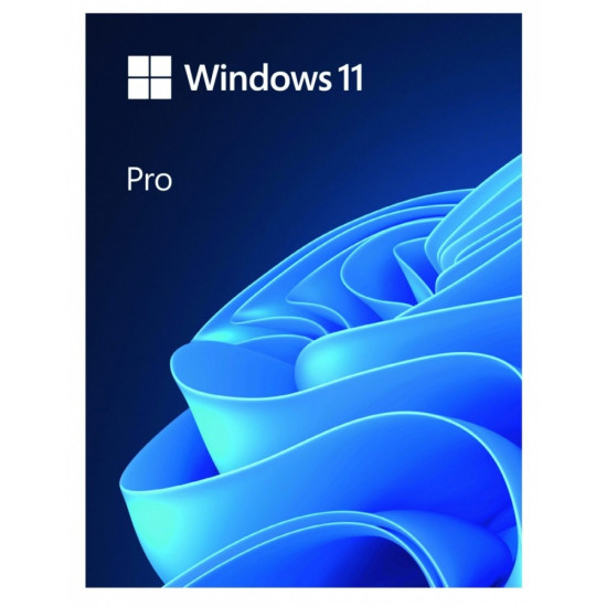 Windows Pro 11 64bit ENG USB Flash Drive Box HAV-00163 Zastępuje P/N: HAV-00060
