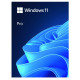 Windows Pro 11 64bit ENG USB Flash Drive Box HAV-00163 Zastępuje P/N: HAV-00060