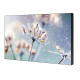 Monitor profesjonalny VM46B-U 46 cali Video wall Matowy 24h/7 500(cd/m2) 1920 x 1080(FHD) N/A 3 lata d2d (LH46VMBUBGBXEN)
