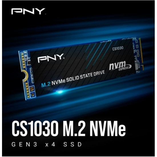 Dysk SSD 1TB M.2 CS1030 M280CS1030-1TB-RB 