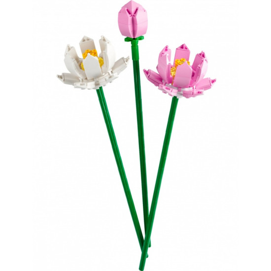 Klocki Botanicals 40647 Kwiaty lotosu