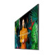 Monitor profesjonalny 65 cali QB65C LH65QBCEBGCXEN