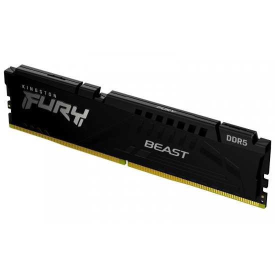 Pamięć DDR5 Fury Beast 16GB(1*16GB)/6000 CL30 EXPO czarna