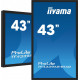 Monitor 43 cale TF4339AS-B1AG,IPS,4K,HDMIx2,DP,RJ45,3xUSB,40pkt, ANDROID,24/7 
