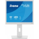 Monitor 19 cali B1980S-W1 HDMI,DP.PIVIOT,HAS/150mm 