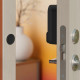 Inteligentny zamek  Linus Smart Lock (srebrny)