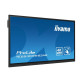 Monitor 65 cali TE6512MIS-B4AG 40pkt,IPS,4K,24/7,7H, ANDROID 14, RK3576, 8/128GB, EDLA, Essential 