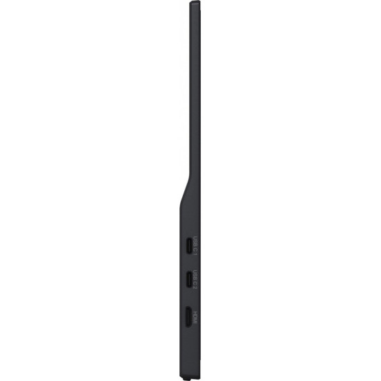 Monitor 15.6 cala P1671HSC-B1 IPS,FHD,miniHDMI,2xUSBC,250cd,8ms,2x1W, 0,7kg