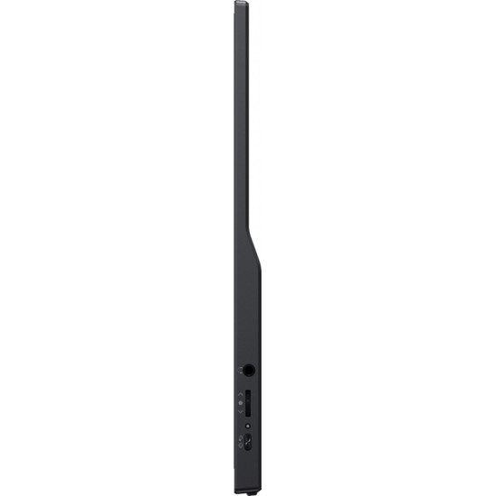 Monitor 15.6 cala P1671HSC-B1 IPS,FHD,miniHDMI,2xUSBC,250cd,8ms,2x1W, 0,7kg