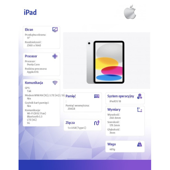 iPad WiFi + Cellular 11 cali 256 GB Srebrny