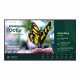 Monitor wielkoformatowy 55 cali ST5504 LED 4K/4500:1/ANDROID 