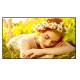 Monitor wielkoformatowy 50UL5Q-E 500cd/m2 UHD 24/7
