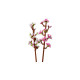 Klocki Botanicals 40725 Kwiaty wiśni 