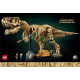 Klocki Jurassic World 76968 Szkielety dinozaurów: tyranozaur