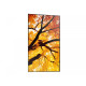 Monitor M652 65 cali 24/7 550cd/m2 