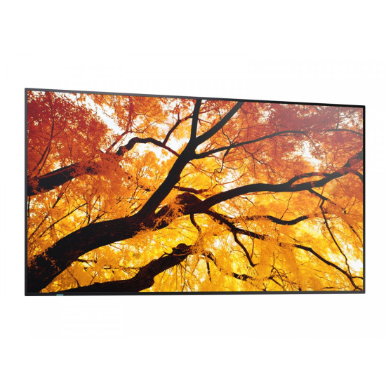 Monitor M652 65 cali 24/7 550cd/m2 