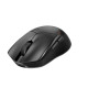 Mysz Dark Perk Ergo