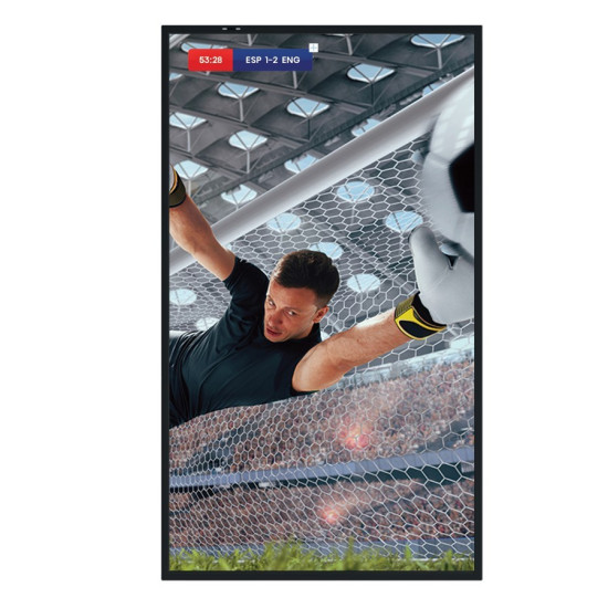 Monitor 55DM66D 55 cali 4K UHD IPS Digital Signage Display 24/7 