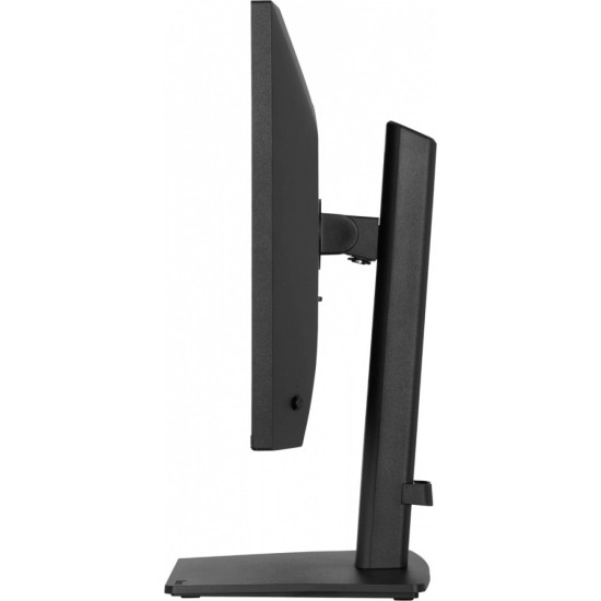 Monitor 24 cale XB2491H-B1 IPS, HDMI, DP, 1ms, 350cd, 1500:1, 120Hz, HAS150 (PIVOT)