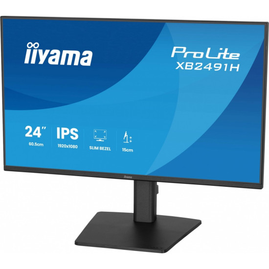 Monitor 24 cale XB2491H-B1 IPS, HDMI, DP, 1ms, 350cd, 1500:1, 120Hz, HAS150 (PIVOT)