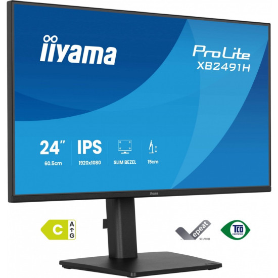 Monitor 24 cale XB2491H-B1 IPS, HDMI, DP, 1ms, 350cd, 1500:1, 120Hz, HAS150 (PIVOT)