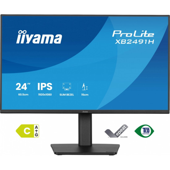 Monitor 24 cale XB2491H-B1 IPS, HDMI, DP, 1ms, 350cd, 1500:1, 120Hz, HAS150 (PIVOT)