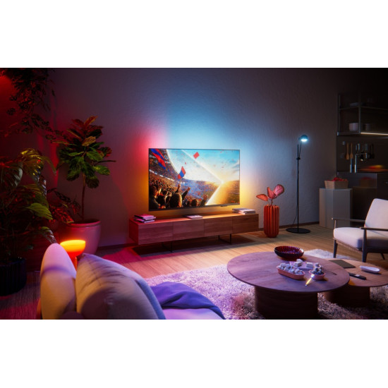 Telewizor 55 cali LED 55PUS8001/12 