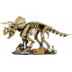 Klocki Jurassic World 77985 Szkielety dinozaurów: Triceratops 