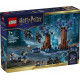Klocki Harry Potter 76475 Zakazany Las: Expecto Patronum 