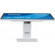 Monitor 24 cale  T2452MSC-W2AG 10PKT,POJ,IPS,HDMI,DP,420cd, biały