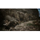Gra Xbox Series X Gothic Remake 