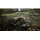 Gra Xbox Series X Gothic Remake 