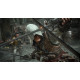 Gra PlayStation 5 Assassins Creed Black Flag Resynced