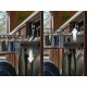 Zmywarka E52SE100SW 