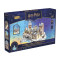 Puzzle 3D - Harry Potter Zamek Hogwart w śniegu LED 