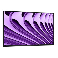 Monitor P2426HE 24 cale IPS FHD (1920x1080)/16:9/HDMI/2xDP/2xUSB/3xUSB-C/RJ45/3Y 