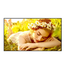 Monitor wielkoformatowy 65UL5Q-M 500cd/m2 UHD 24/7