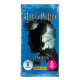 Karty Harry Potter Saszetka display 20 sztuk