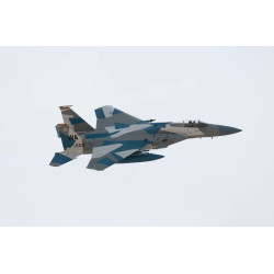 Model plastikowy Boeing F-15C Orzeł