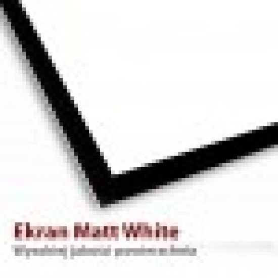 Ekran ręczny na statywie TS-100 4:3 100 cali 203x152cm