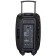 System audio PA15 PLL Karaoke
