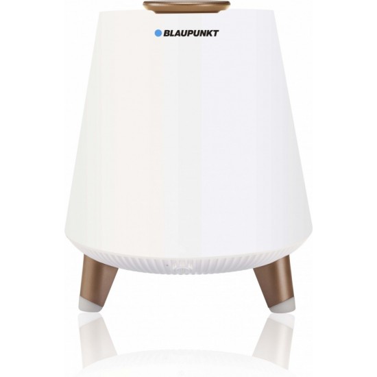 Przenośny głośnik Bluetooth BT25LAMP