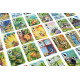 Gra Łąka (Meadow) PL