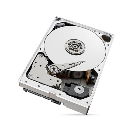 Dysk SkyHawkAI 10TB 3,5'256MB ST10000VE001