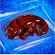 Zestaw naukowy Crazy Science Slime Kameleon