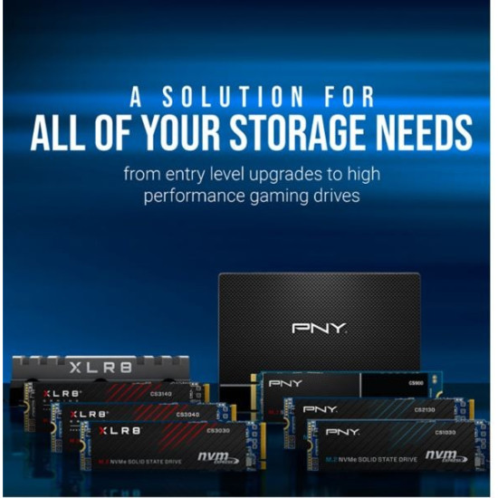 Dysk SSD 1TB M.2 CS1030 M280CS1030-1TB-RB 