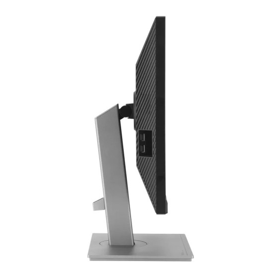 Monitor 24 cale PA248CNV