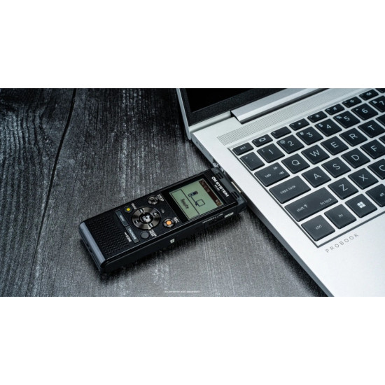 Dyktafon WS-883 (8GB) 