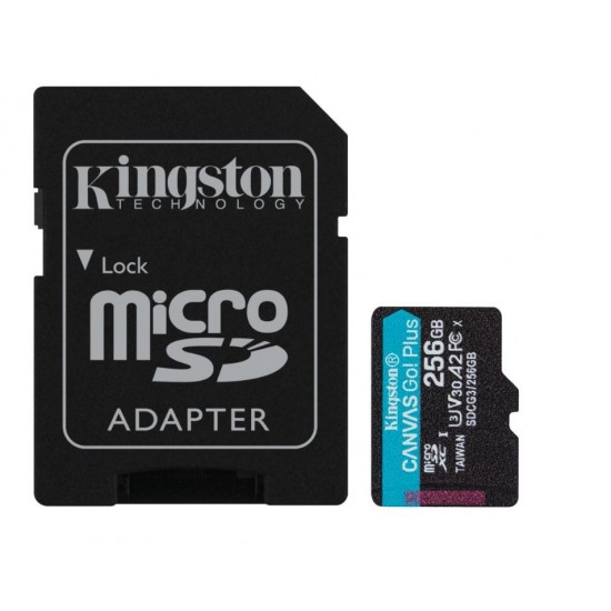 Karta microSD 256GB Canvas Go Plus 170/90MB/s